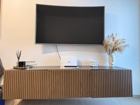 TV and multimedia
