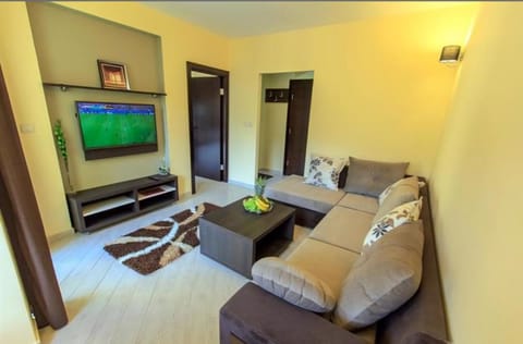 At Oliver’s Apartment in Budva