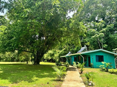 Day, Natural landscape, Garden, Garden view