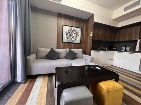 Kitchen or kitchenette, Living room, Seating area