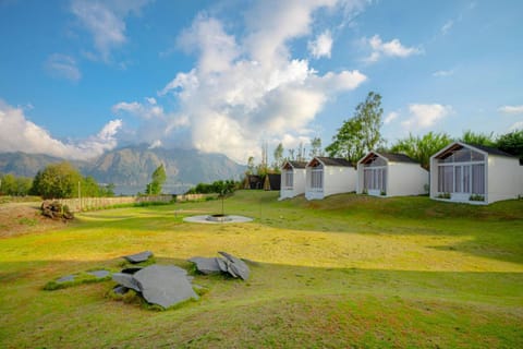 Garden, Garden view, Mountain view