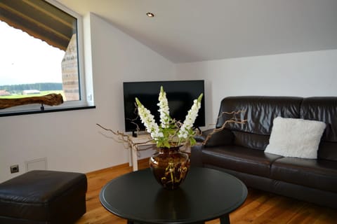 Meisterhof - Bergblick Apartment in Salzburgerland