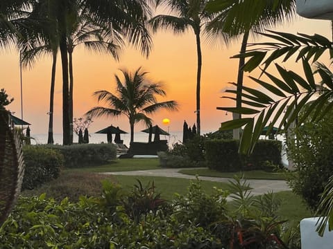 Natural landscape, Garden, Garden view, Sea view, Sunset