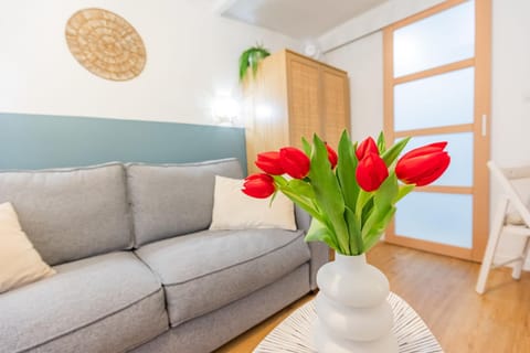 Studio cozy centre avec Parking Apartment in Grasse