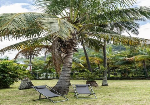 Garden, Garden view, sunbed