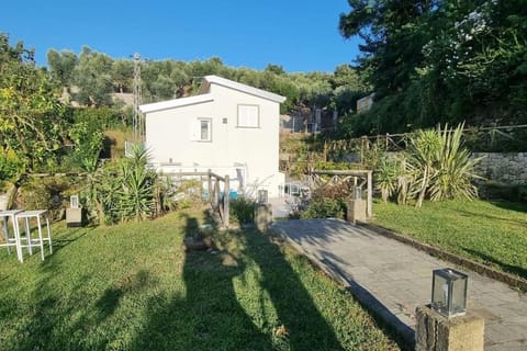 Property building, Natural landscape, Garden, Garden view