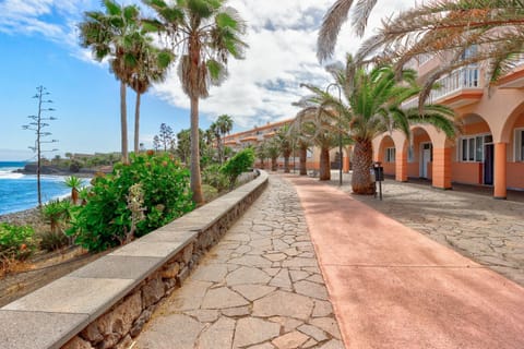 Garden, Other, Beach