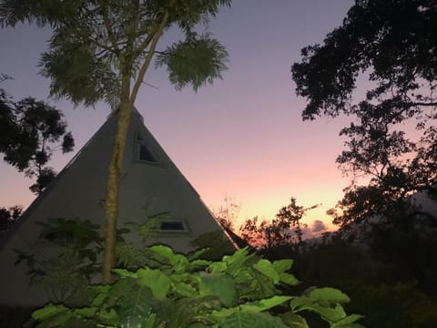 Day, Natural landscape, Garden, Garden view, Sunrise, Sunset