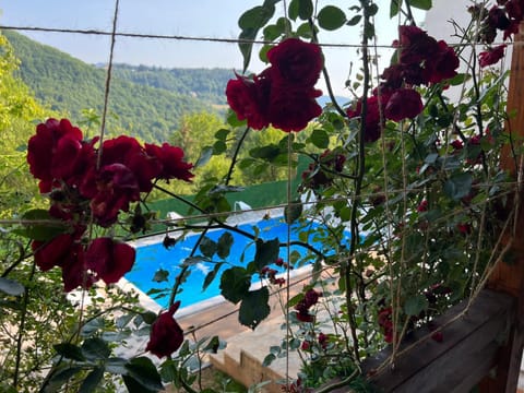 Garden, Mountain view, Pool view, Swimming pool