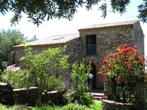 Property building, Spring
