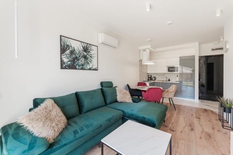 Kitchen or kitchenette, Living room, stove, air conditioner