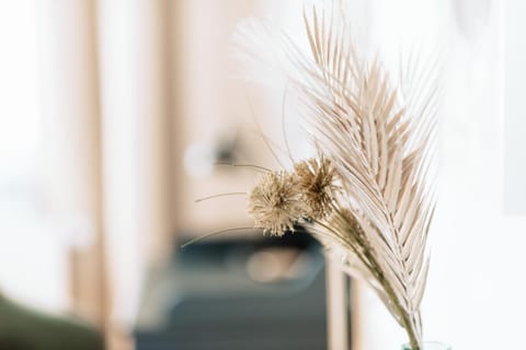 Deichstadt Apartments Apartment in Rhineland-Palatinate