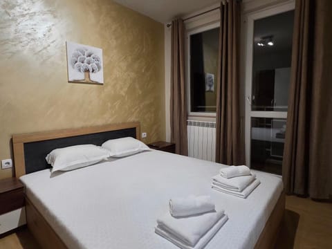 Дунав билдингс 3 Apartment in Pleven