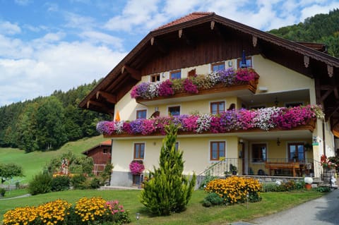 Gesundheitshof Lohninger Farm Stay in Mondsee