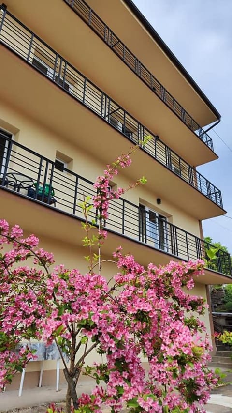 Property building, Spring, Day, Garden, Balcony/Terrace