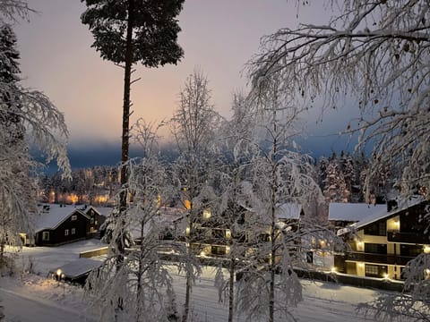 Rivitahko House in Finland