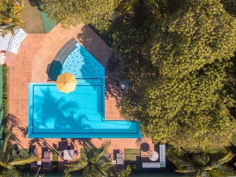 Bird's eye view, Pool view, Swimming pool