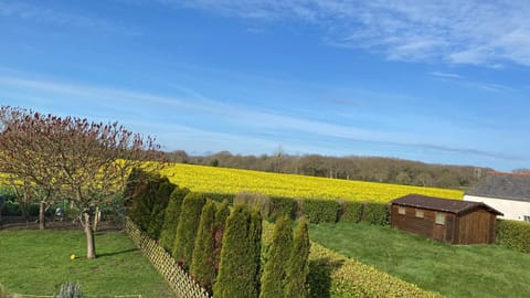 Natural landscape, Garden view
