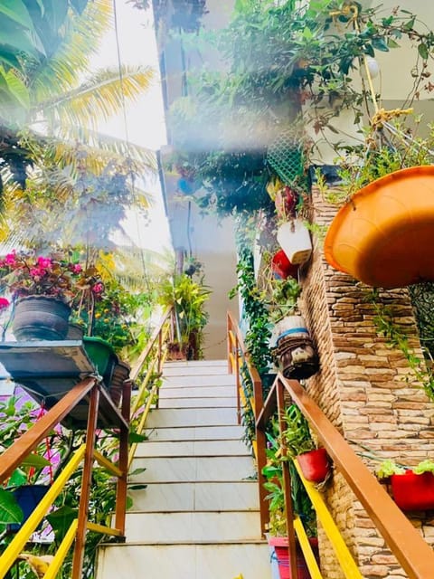 Property building, Garden