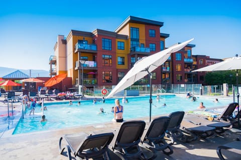 Day, People, Pool view, Swimming pool, Swimming pool, group of guests, sunbed