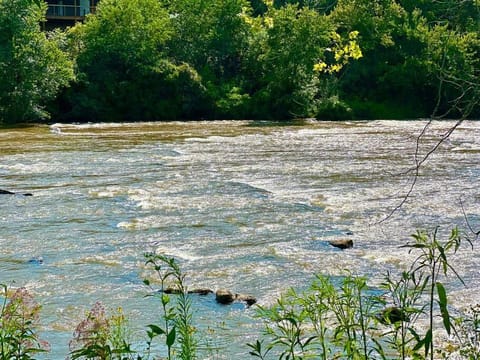 Riverside Relaxer w/Hot Tub+Fire Pit +Wifi & view House in Tennessee