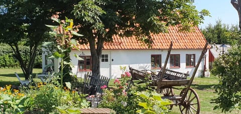 Property building, Patio, Garden, Garden, Garden view