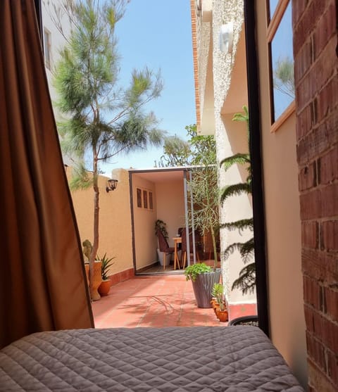 Day, Garden, Meals