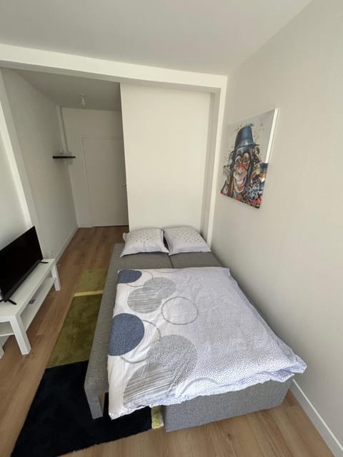 Joyau historique 101 Apartment in Aurillac