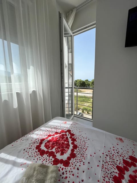 Classic Apartment Apartment in Ohrid