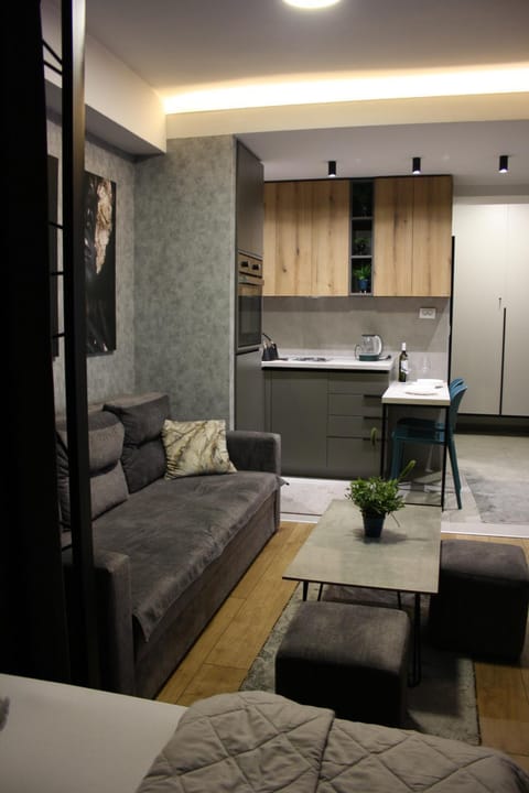 Luxury Apartment Skopje Apartment in Skopje