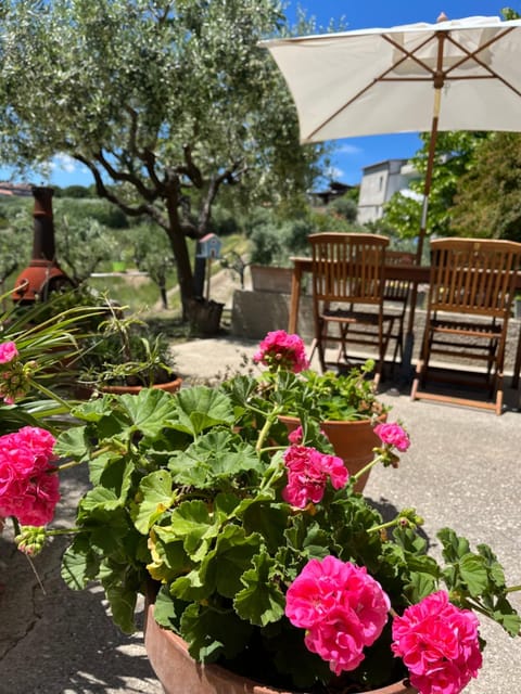 Casa vacanze 365 - verde House in Tortoreto