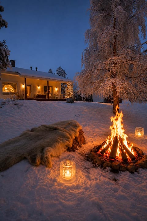 Winter, Garden view