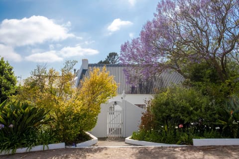 Property building, Garden view