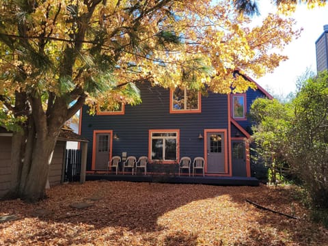 The Coral Castle - Gorgeous and Great Location! House in Frankfort