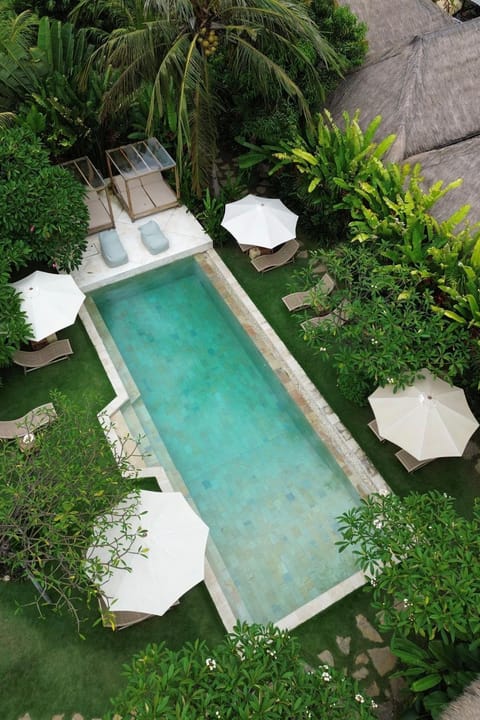 Garden view, Pool view, Swimming pool, sunbed