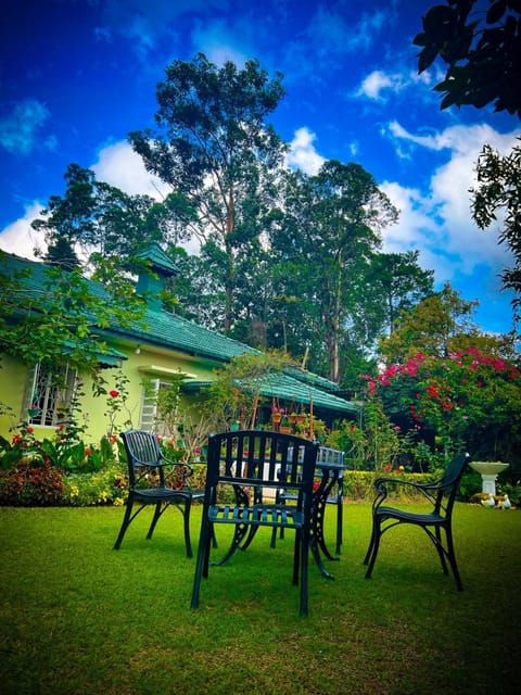 Day, Natural landscape, Garden