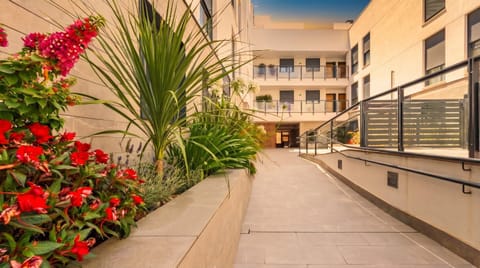 Property building, Day, Garden