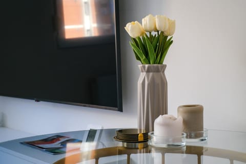 Apartment in Niš, Center! brand-new Apartment in Serbia