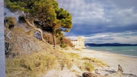 Hausemaremma 1 camera Apartment in Follonica