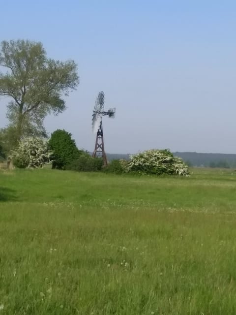 Ferienhaus Segebrecht Apartment in Zirchow
