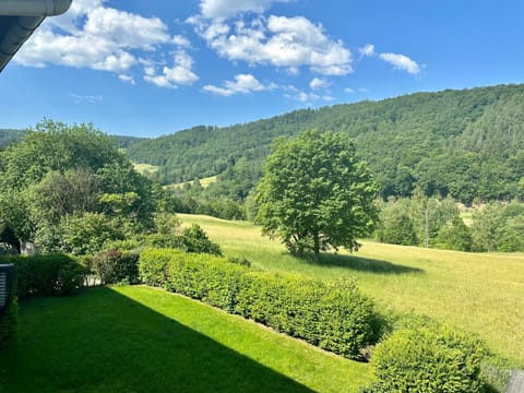 Natural landscape, Garden view, Mountain view