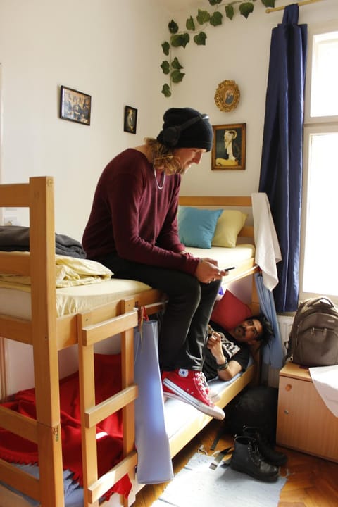 Photo of the whole room, group of guests, bunk bed