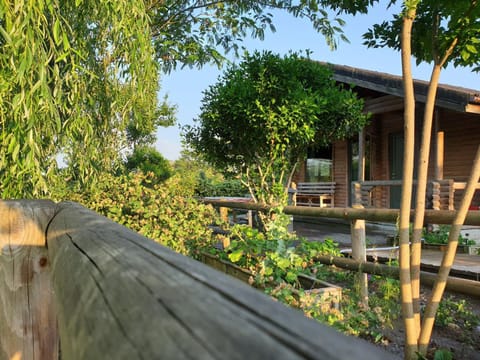 Property building, Balcony/Terrace