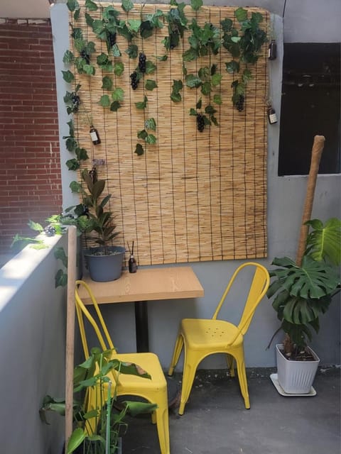 Patio, Day, Garden, Garden view