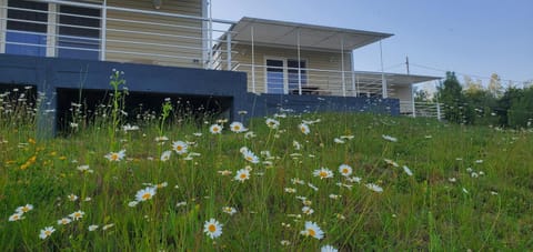 Property building, Spring, Day, Garden, Garden view