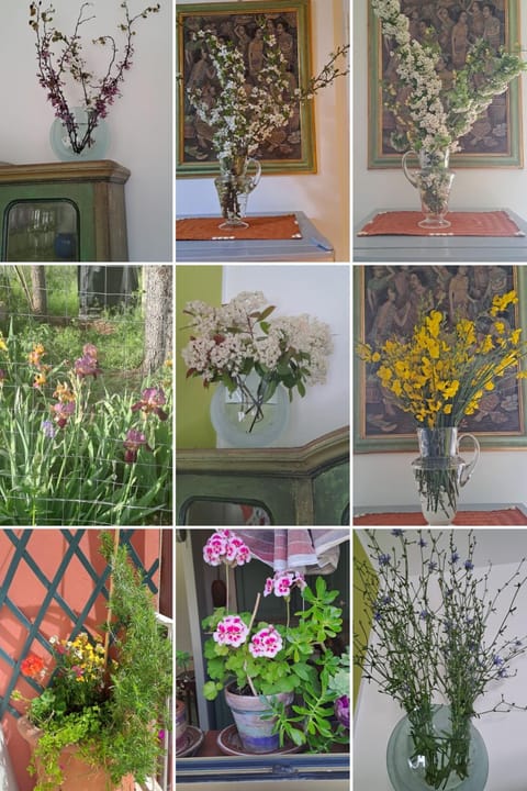 la casa di Aldo Apartment in Perugia