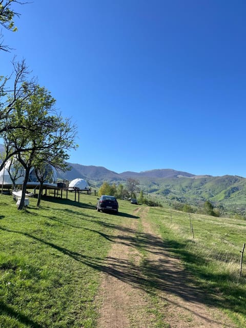 Tranquil Dome - Manta's Retreat Glamping Cornereva Luxury tent in Serbia