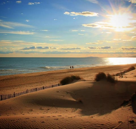 Nearby landmark, Natural landscape, Beach, Sunset
