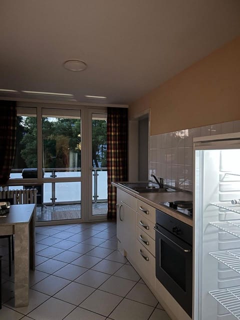 Kitchen or kitchenette, Dining area, oven, stove