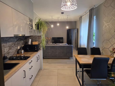 Kitchen or kitchenette, Dining area, stove